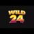 Wild24